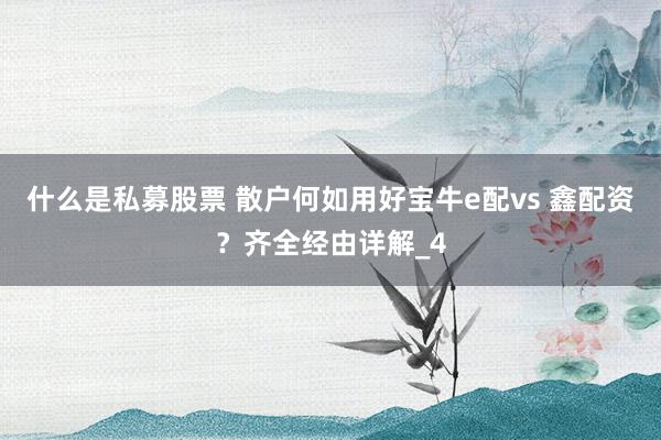 什么是私募股票 散户何如用好宝牛e配vs 鑫配资？齐全经由详解_4