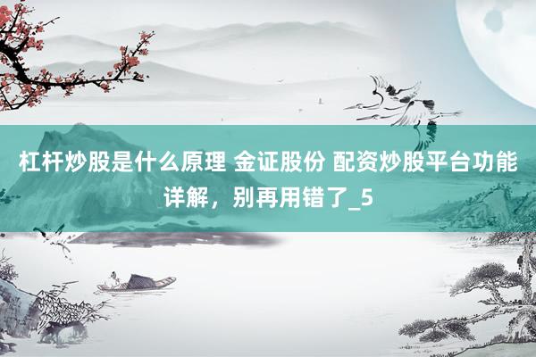 杠杆炒股是什么原理 金证股份 配资炒股平台功能详解，别再用错了_5