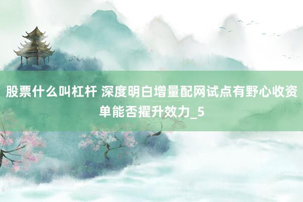 股票什么叫杠杆 深度明白增量配网试点有野心收资单能否擢升效力_5