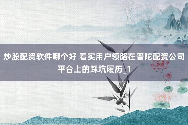 炒股配资软件哪个好 着实用户领路在普陀配资公司平台上的踩坑履历_1