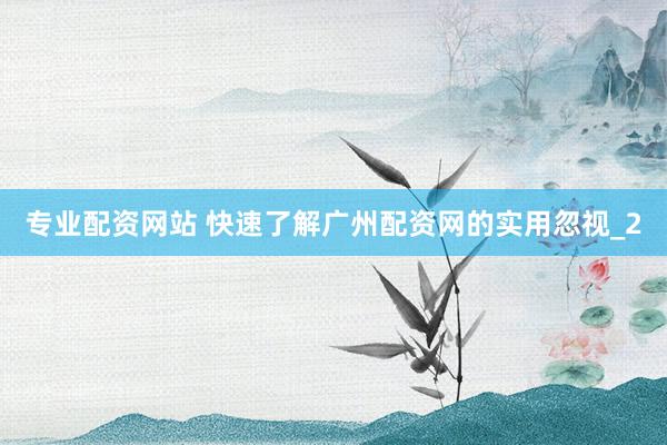 专业配资网站 快速了解广州配资网的实用忽视_2