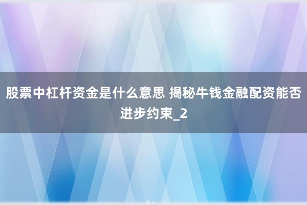 股票中杠杆资金是什么意思 揭秘牛钱金融配资能否进步约束_2