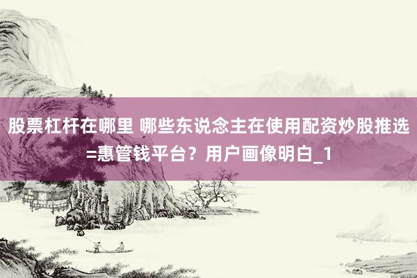 股票杠杆在哪里 哪些东说念主在使用配资炒股推选=惠管钱平台？用户画像明白_1