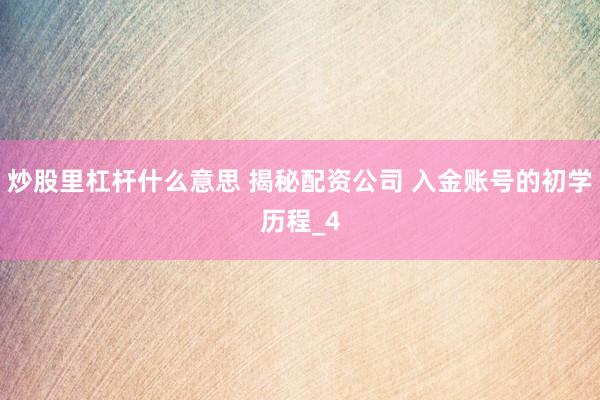 炒股里杠杆什么意思 揭秘配资公司 入金账号的初学历程_4