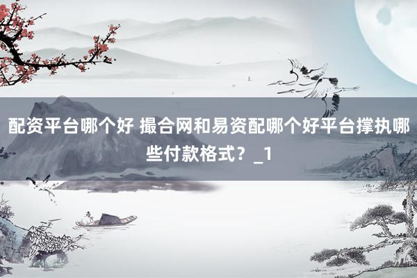 配资平台哪个好 撮合网和易资配哪个好平台撑执哪些付款格式？_1