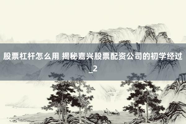 股票杠杆怎么用 揭秘嘉兴股票配资公司的初学经过_2
