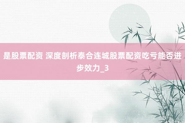 是股票配资 深度剖析泰合连城股票配资吃亏能否进步效力_3