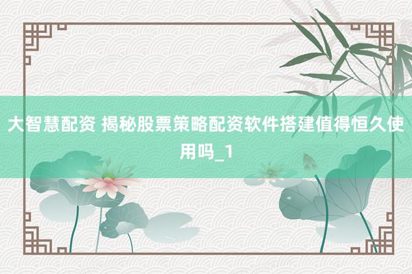 大智慧配资 揭秘股票策略配资软件搭建值得恒久使用吗_1