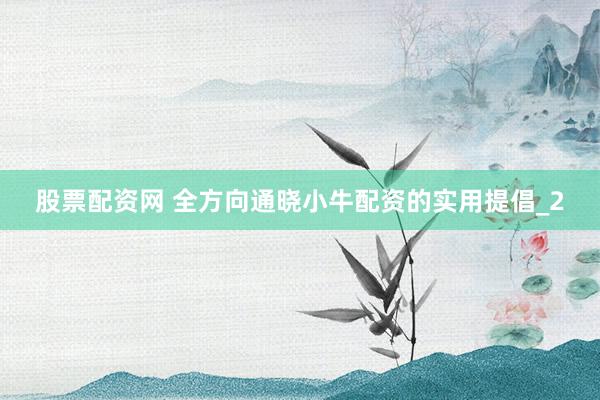 股票配资网 全方向通晓小牛配资的实用提倡_2