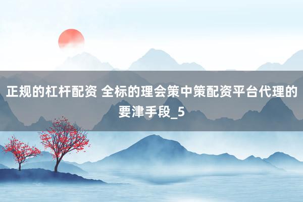 正规的杠杆配资 全标的理会策中策配资平台代理的要津手段_5