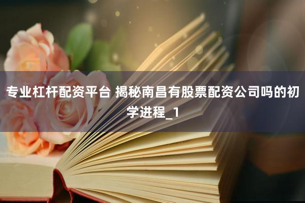 专业杠杆配资平台 揭秘南昌有股票配资公司吗的初学进程_1
