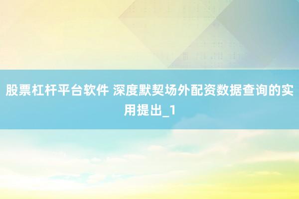 股票杠杆平台软件 深度默契场外配资数据查询的实用提出_1