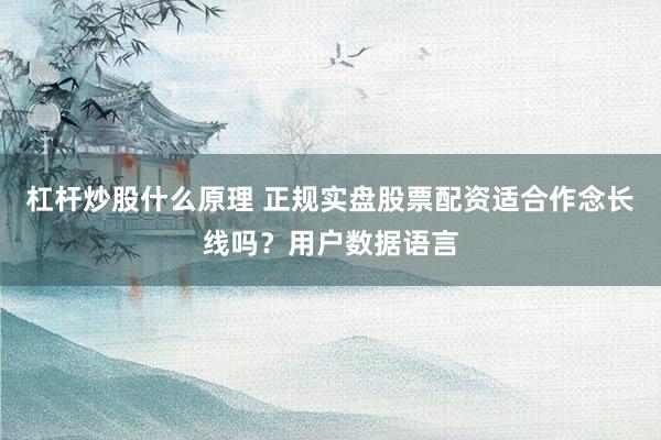 杠杆炒股什么原理 正规实盘股票配资适合作念长线吗？用户数据语言
