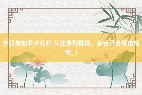 炒股能加多少杠杆 从注册到提现，金谷子全经由指南_1