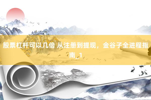 股票杠杆可以几倍 从注册到提现，金谷子全进程指南_1