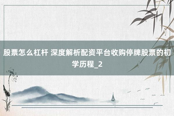 股票怎么杠杆 深度解析配资平台收购停牌股票的初学历程_2