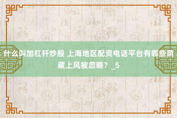 什么叫加杠杆炒股 上海地区配资电话平台有哪些荫藏上风被忽略？_5