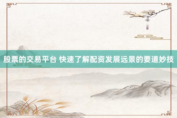 股票的交易平台 快速了解配资发展远景的要道妙技